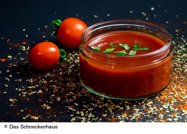 Ein feuriges Team: Tomatensalsa und LENTIL STICKS